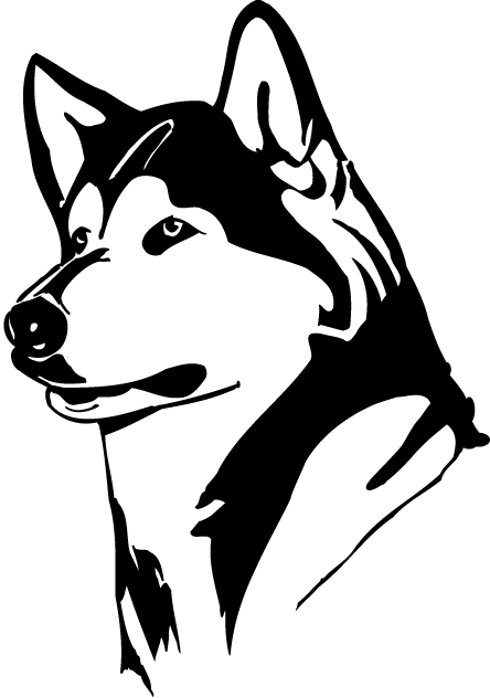 Washington Huskies 1995-2000 Partial Logo diy iron on heat transfer